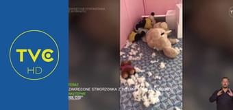 Zakręcone stworzonka z Internetu S1E4