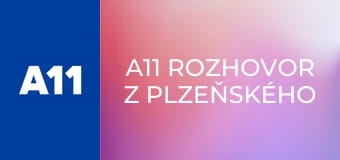 A11 rozhovor z Plzeňského kraje - Hana Kristová, ředitelka Galerie Klatovy/Klenová