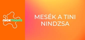 Mesék a tini nindzsa teknőcökről S1E7 - Raf a víz ellen Mesék a tini nindzsa teknőcökről S1E7 - Raf a víz ellen