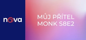 Můj přítel Monk S8E2 - Pan Monk a cizinec