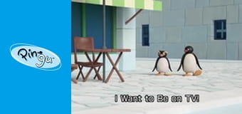 Pingu w miescie Sezon 2 Odcinek 22