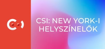 CSI: New York-i helyszínelők S9E11 - Különleges fegyverrel