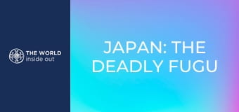 Japán: a halálos fugu gömbhal és a robotok városa.