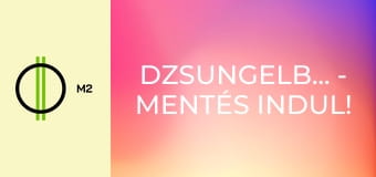 Dzsungelbanda - Mentés indul! - Balszerencse