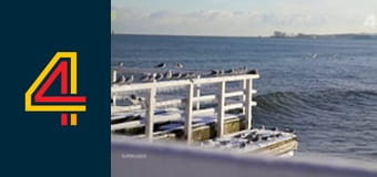 SuperLudzie S2E2 - Katarzyna Rogowiec, Paweł Karpiński