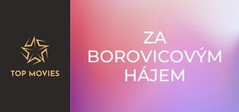 Za borovicovým hájem