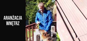 Co Wybrać Na Taras I Balkon? Wady I Zalety Materiałów!