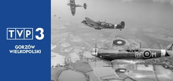 Ci cholerni Polacy. Lotnictwo polskie 1939-1945 E11 - Partyzanci i amazonki