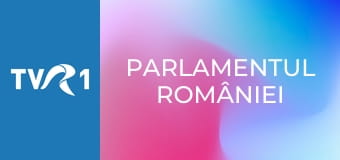 Parlamentul României