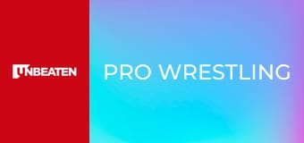 Pro Wrestling