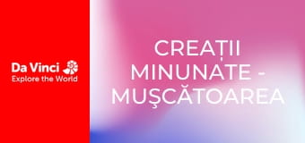 Creații minunate - Muşcătoarea cu cioc