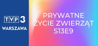 Prywatne życie zwierząt S13E9 - Ewolucja