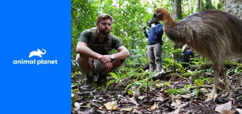 A kihalás szélén S1E3 - Floridai fekete farkas