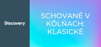 Schované v kôlňach: Klasické autá II (7)