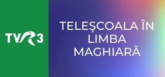Teleşcoala în limba maghiară