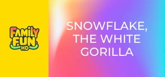 Snowflake: Mica gorilă albă