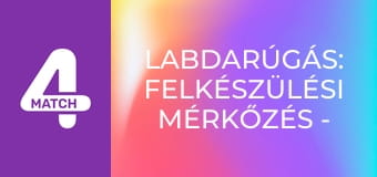 Labdarúgás: Felkészülési mérkőzés - Brazília – Franciaország