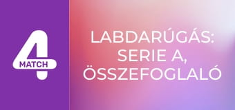 Labdarúgás: Serie A, összefoglaló - 12. forduló