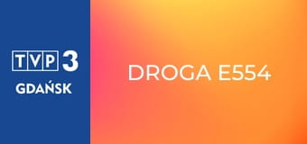 Droga E554