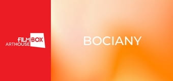 Bociany