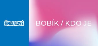 Bobík / Kdo je maskovaný šmoula