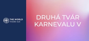 Druhá tvár Karnevalu v Riu de Janeiro a bahenný sprievod v Paraty. Brazília.