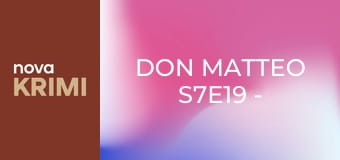 Don Matteo S7E19 - Dokonalá