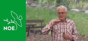 Noční repríza dopoledních pořadů