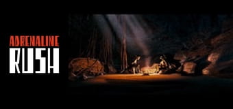 Wojownicze żółwie ninja