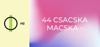 44 csacska macska - Vad kölykök