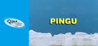 Pingu at the Wedding Party