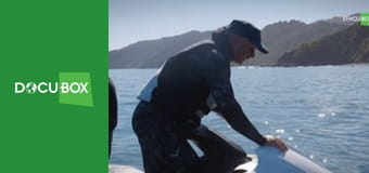 Polowa kuchnia Angela S1E2 - Rak