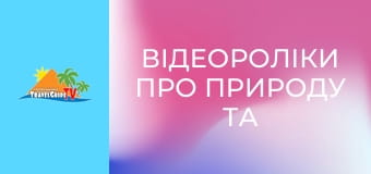 Відеороліки про природу та тварин.
