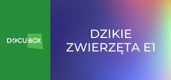 Dzikie zwierzęta E1