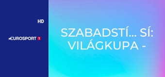Szabadstílusú sí: Világkupa - Síkrossz