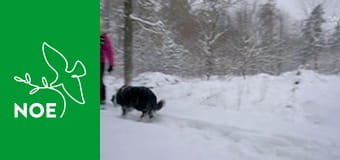 Klimatická změna nebo katastrofa?