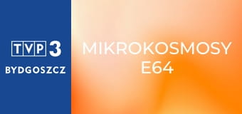 Mikrokosmosy E64