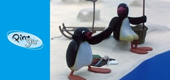 Pingu Sezon 3 Odcinek 10