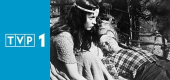 Ostatnia walka Apacza