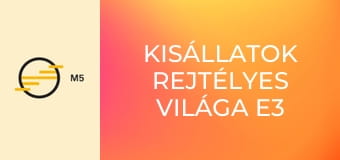 Kisállatok rejtélyes világa E3 - Városi dzsungelek