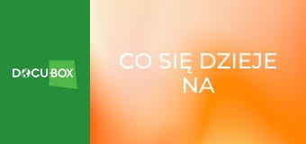 Co się dzieje na świecie S1E5 - Meksyk