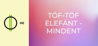 Töf-Töf elefánt - Mindent takarító