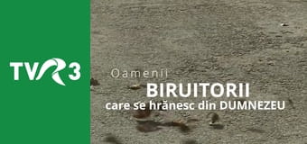 Biruitorii E10