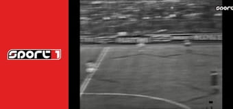 Labdarúgás - Feyenoord - Celtic