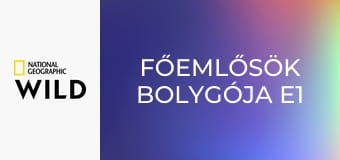 Főemlősök bolygója E1