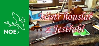 Mistr houslař z Jestřabí