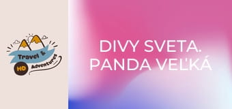 Divy sveta. Panda veľká