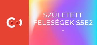Született feleségek S5E2 - Jó szomszédság