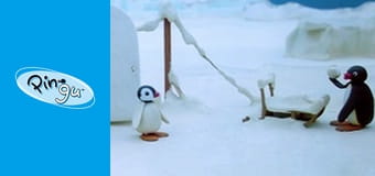 Pingu Sezon 2 Odcinek 26 Pingu Sezon 2 Odcinek 26
