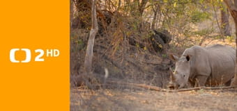 Afrika z výšky E10 - Botswana